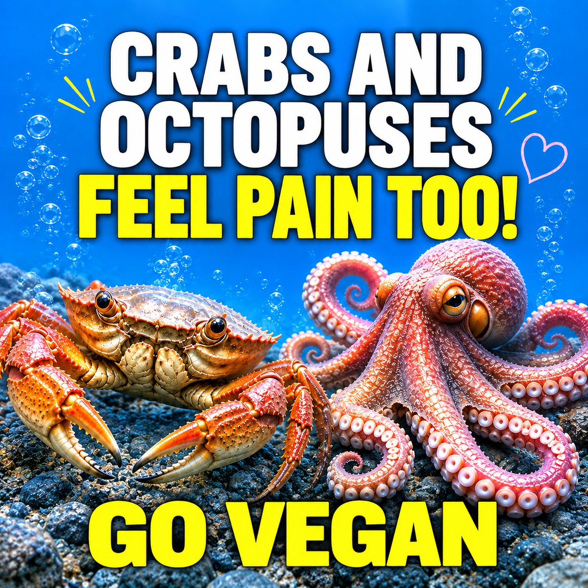 lwb22028's tweet photo. #GoVegan #BeVegan #WhyVegan #Vegan #AnimalRights #Animal #비건 #채식 #비건채식 EVERY ANIMAL FEELS PAIN. Animals are not Food. Meat is Murder Go Vegan. Choose Compassion Choose Vegan. be vegan. why vegan. Meat is Animal Cruelty. Meat is Violence. https://t.co/6hrmEJrI9P