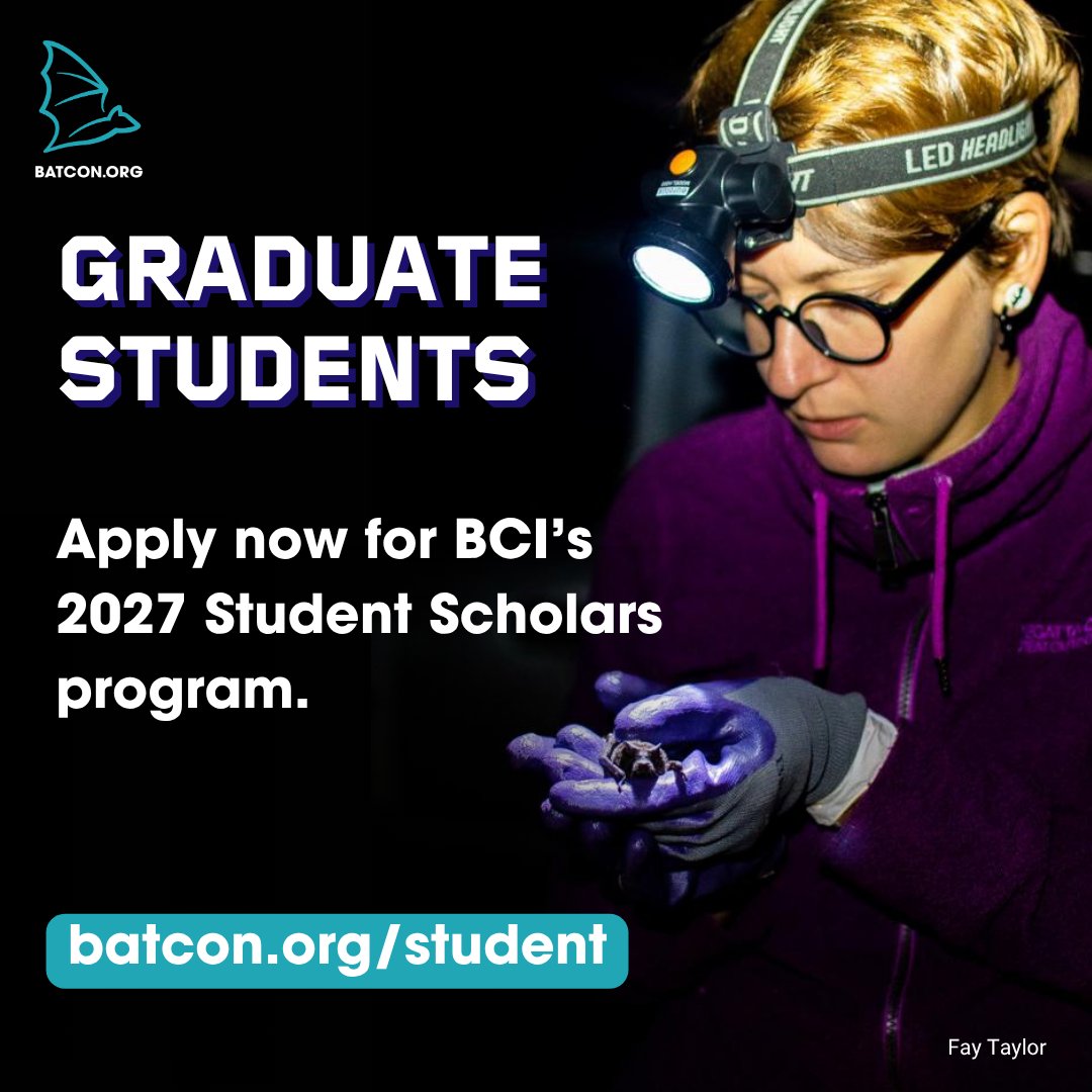 BatConIntl's tweet photo. 🧑‍🏫 Grad students! Apply now for our 2027 Student Scholars program at https://t.co/jGTZxLwLdP. 
Applications close October 31st. https://t.co/hNwCENnZtR