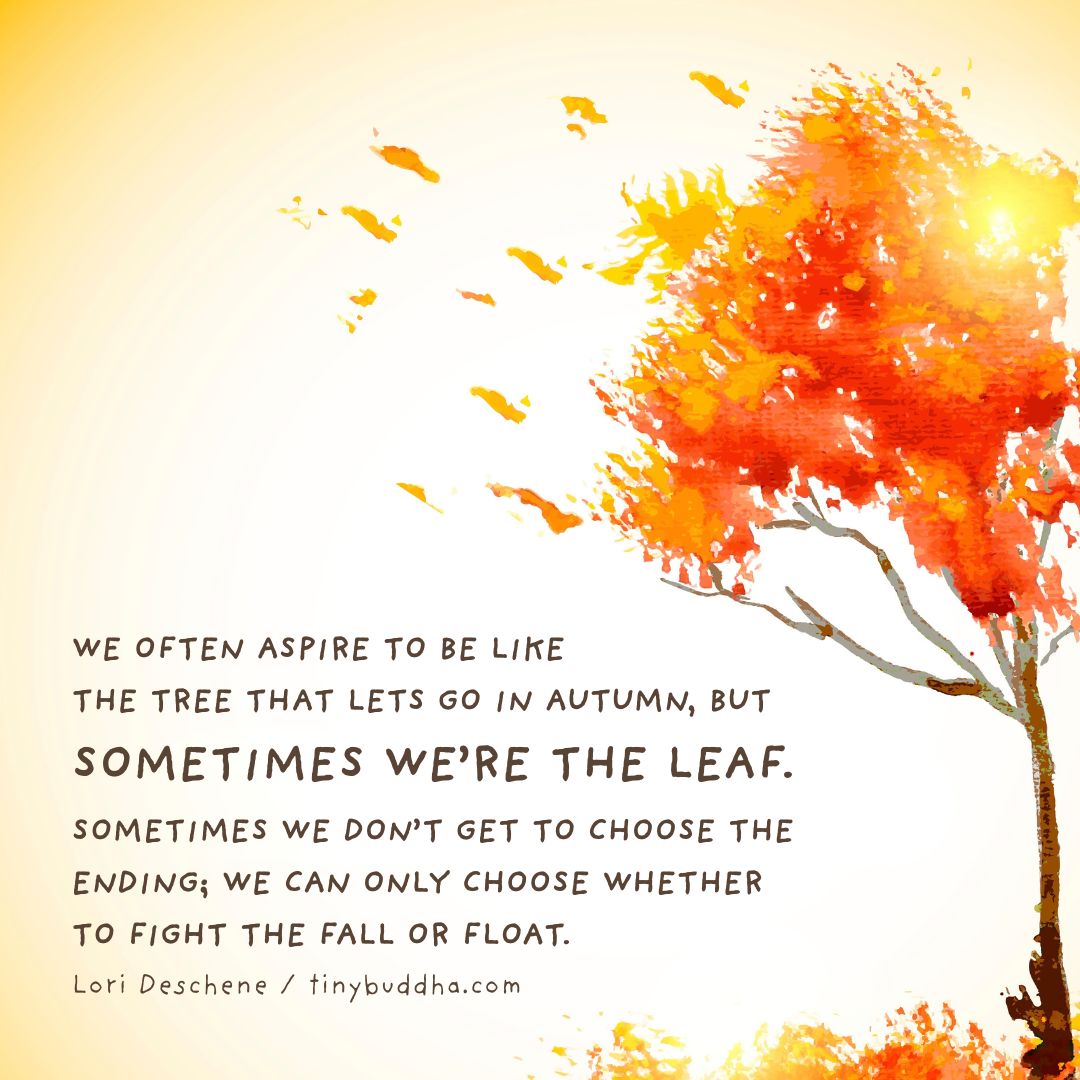 tinybuddha's tweet photo. "We often aspire to be like the tree that lets go in autumn, but sometimes we’re the leaf. Sometimes we don’t get to choose the ending; we can only choose whether to fight the fall or float.” ~Lori Deschene https://t.co/iwqQzFVZ48