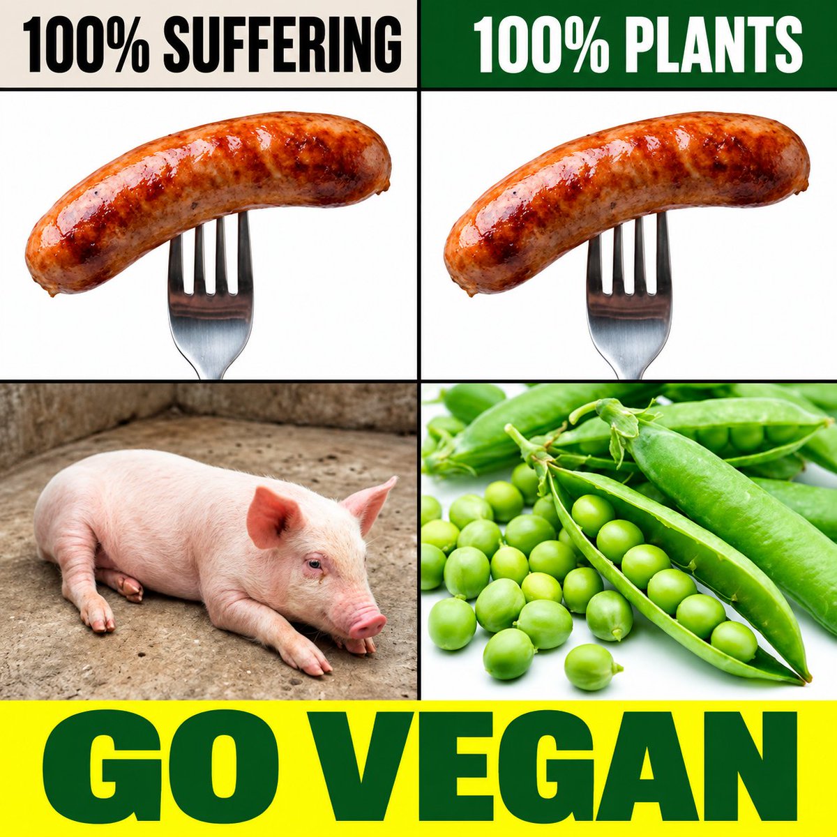 lwb22028's tweet photo. #GoVegan #BeVegan #WhyVegan #Vegan #AnimalRights #Animal #비건 #채식 #비건채식 EVERY ANIMAL FEELS PAIN. Animals are not Food. Meat is Murder Go Vegan. Choose Compassion Choose Vegan. be vegan. why vegan. Meat is Animal Cruelty. Meat is Violence. https://t.co/1ZFe8XatoB