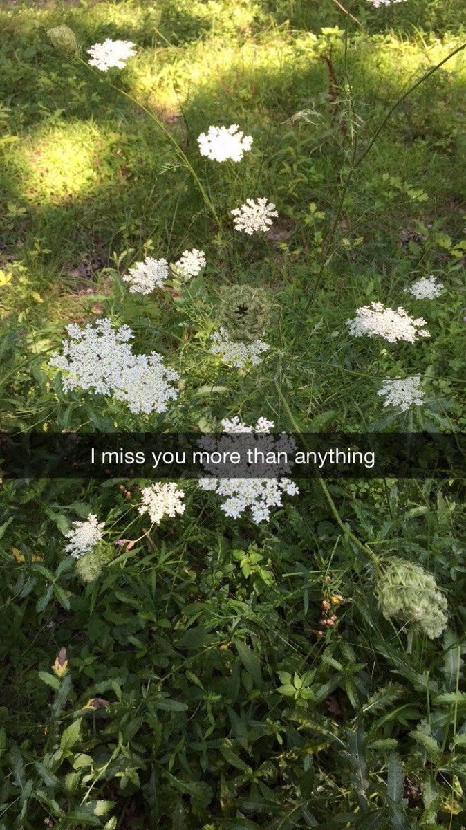randomitskis's tweet photo. https://t.co/MhvhKJ1c7C