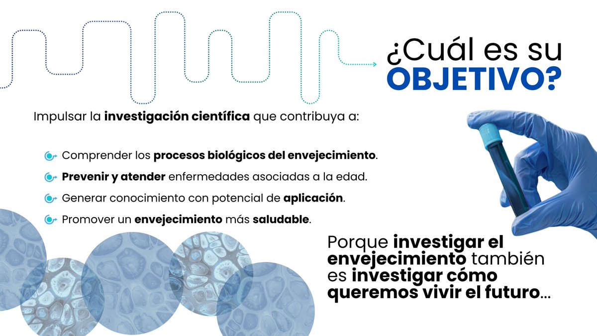 GrupoNeolpharma's tweet photo. 🧬¡Abierta la convocatoria del Premio Huehuetl 2026!
Si investigas sobre envejecimiento, prevención de enfermedades o salud, postula tu proyecto en https://t.co/40JgailWas
📅 Del 2 de octubre al 6 de noviembre de 2026. 👉
#PremioHuehuetl #DistritoTlalpan #Neolpharma #Cinvestav https://t.co/jO154wLm1i