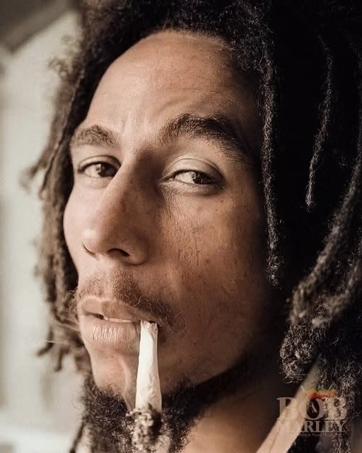 lunamarleygr's tweet photo. "Better to die fighting for freedom than be a prisoner all the days of your life."

➡️ Bob Marley 🌼 https://t.co/kMDpYm0Lmj