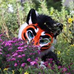 Photo by Tycho / Arush (@wereNwolf)
