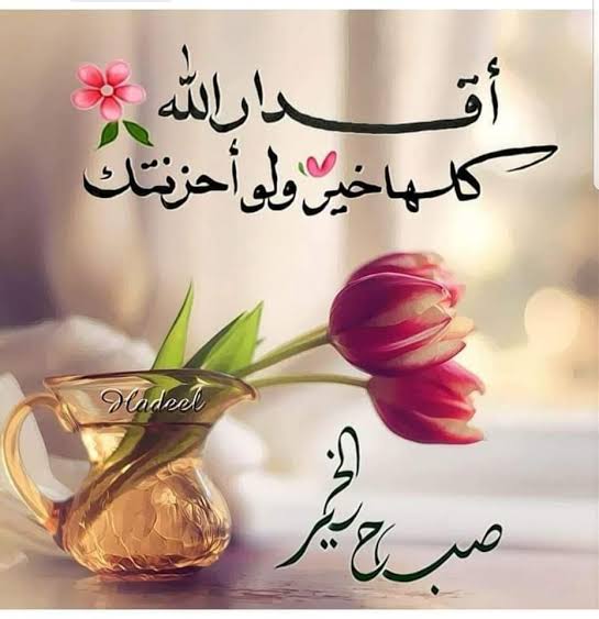 zahrt_elgana's tweet photo. دائماً هناك ثقب ضوء صغير في كل الأيام السيئة يجيء إليك على هيئة نسمة باردة أو طائر عبر زرقة السماء أو ترنيمة أوراق الشجر عندما تداعبها الرياح يجيء ليخبرك أنه ومهما صار لون العالم رمادي كئيب فإنه سيلملم كل حزنك ويرميه بعيداً لتشرق من جديد.

كونوا بخير احبتي. https://t.co/wx6d3wXsX6
