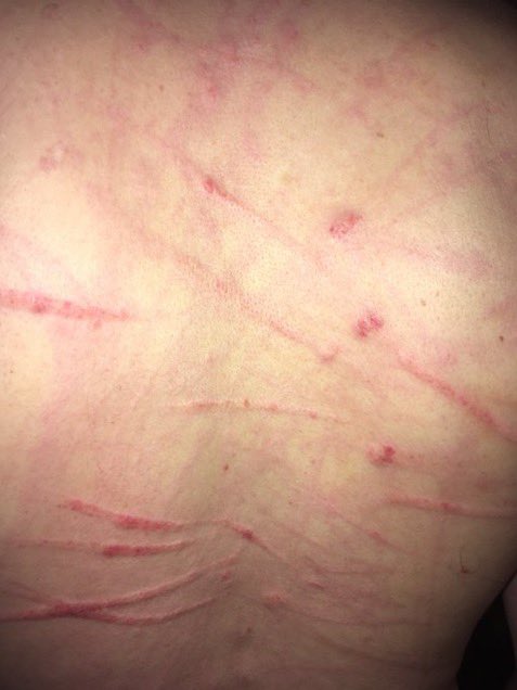 goddessmoi0's tweet photo. Will he ever learn? https://t.co/93kSRltnrK