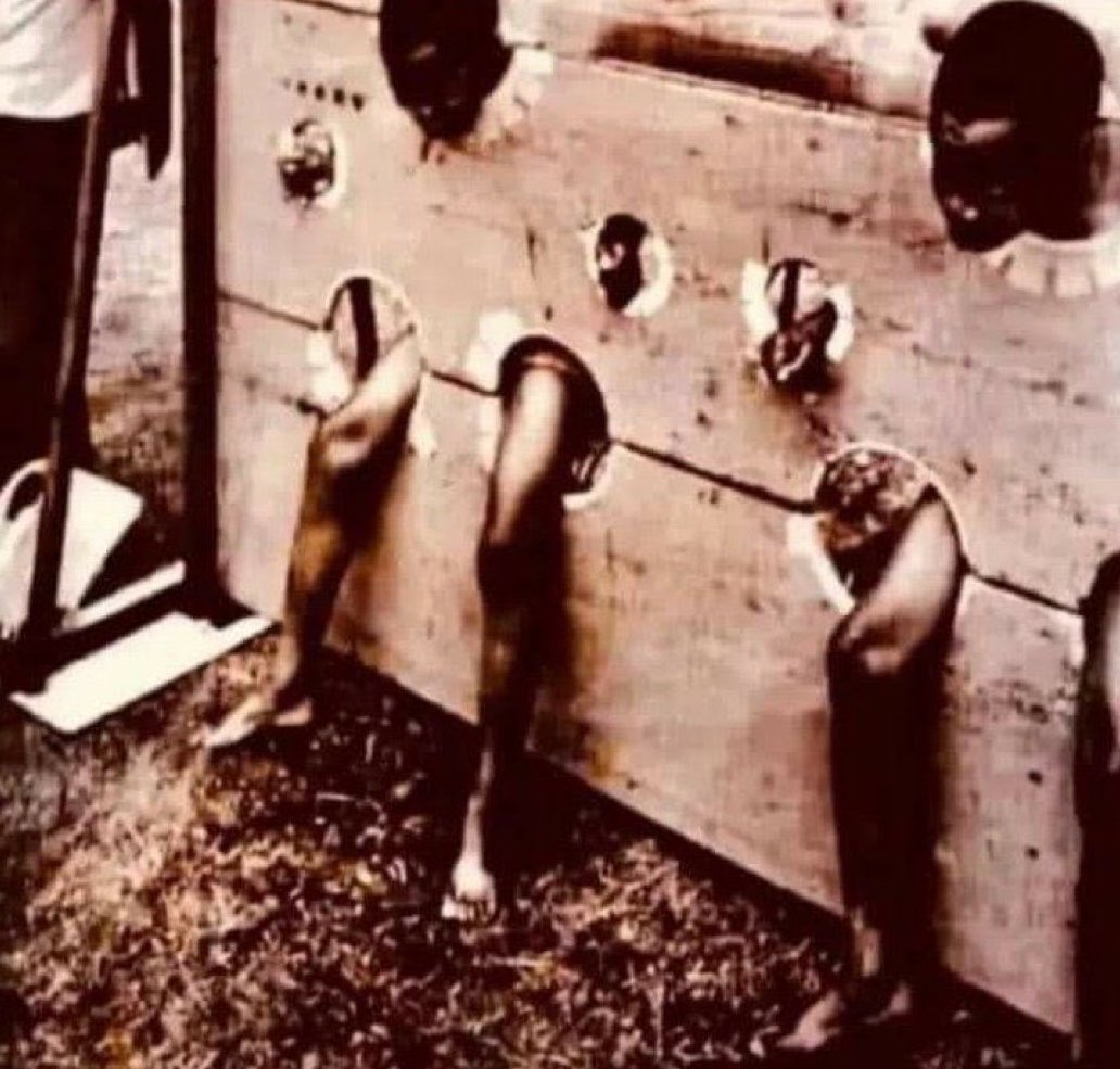 user_01712's tweet photo. @AfterDarkIR Are u sure slave monkey of shit ?? To start, we're going to send them all back to Africa, and then we're going to do a massive genocide by chemical castration like Israel do in Etiopia go back to ape land chimp of shit ure my eternal bitch 😂 https://t.co/utshxqjW3x