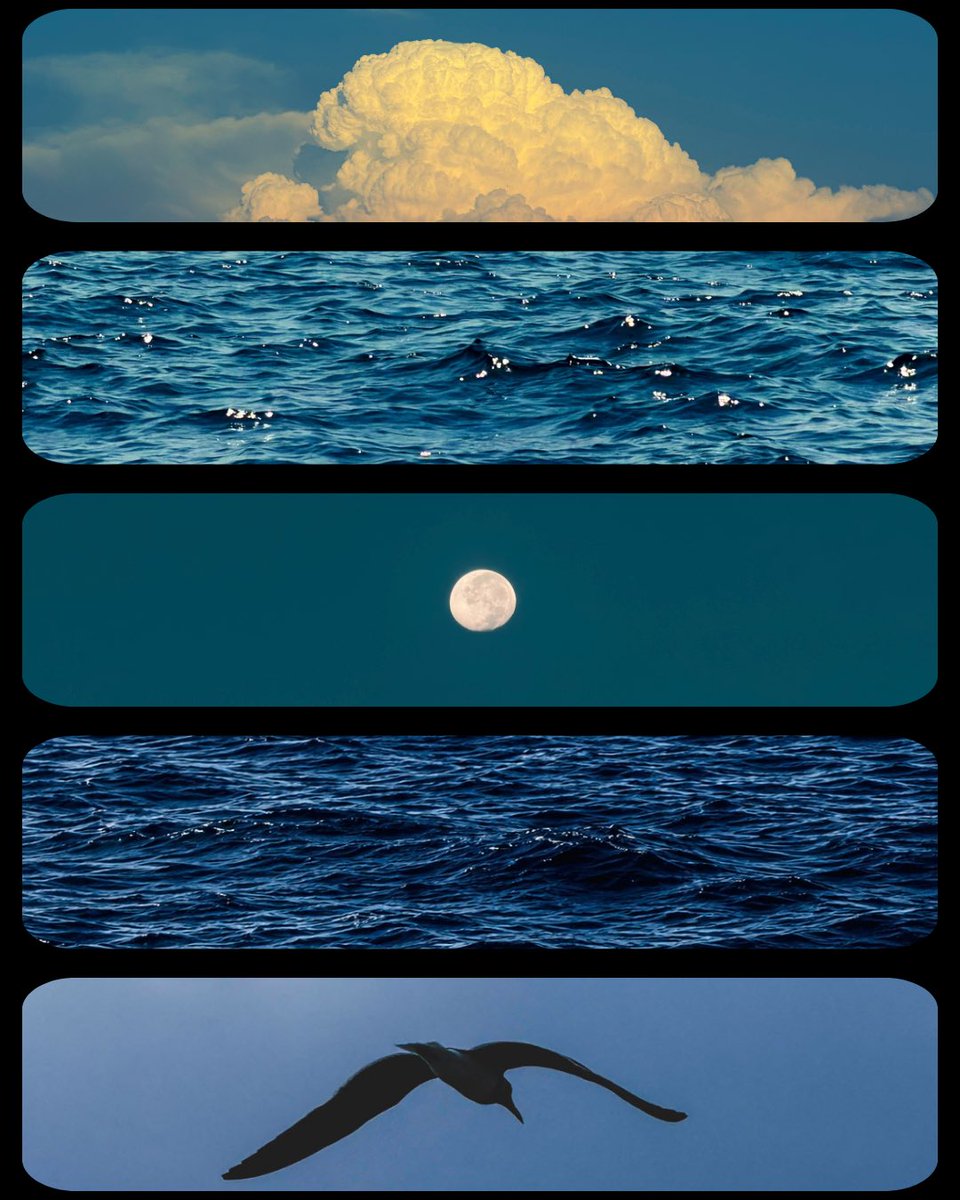 Homamsm's tweet photo. between the sea and the sky 🌊🌔 https://t.co/r4pXq7onmv
