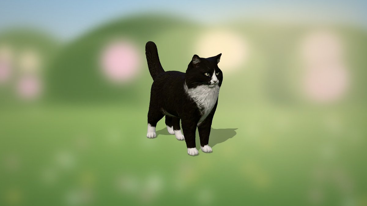 catcosanctuary's tweet photo. 🎉 Fresh lore just dropped! 🎉
😺 Meet Henri, the cat of William Braden (Seattle filmmaker), who runs @HenriLeChatNoir
📜 Henri…
👀 As seen in @HenriLeChatNoir's post
🔓 No coin yet: be the first to adopt it 👇
https://t.co/ekq013HnrX
#catcoin #CatsOfX https://t.co/FGJdXvduyx