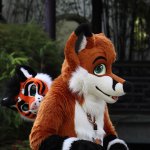Photo by Tycho / Arush (@wereNwolf)