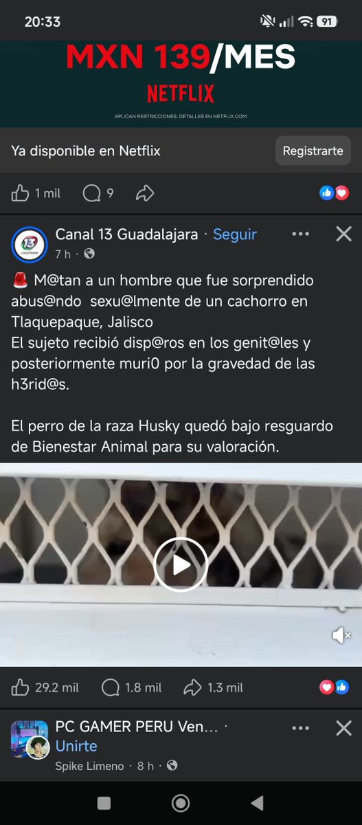 SofiTrevinok's tweet photo. @quorenv Imagina estar orgulloso de ser de ese pais de mierda, que asco https://t.co/TzDjiV3s6T