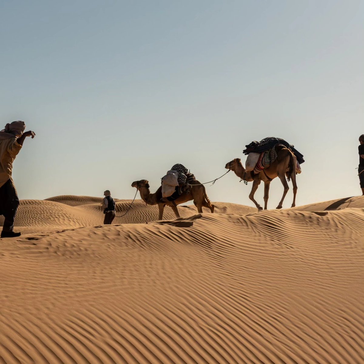dalilithapfg's tweet photo. Tunisia with @pd_bau and @zuckermarichen. https://t.co/D41JhCHs0H