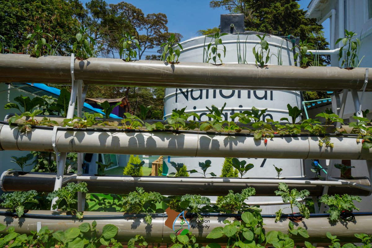 Irrigation_Auth tweet picture