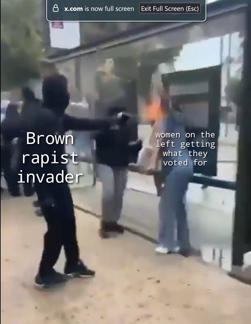 SerFrancisDrake's tweet photo. @Landeur If you women invite these N¡ģğer§ into our white countries they are going to flamethrower your fucking faces! https://t.co/wERqckXwM5
