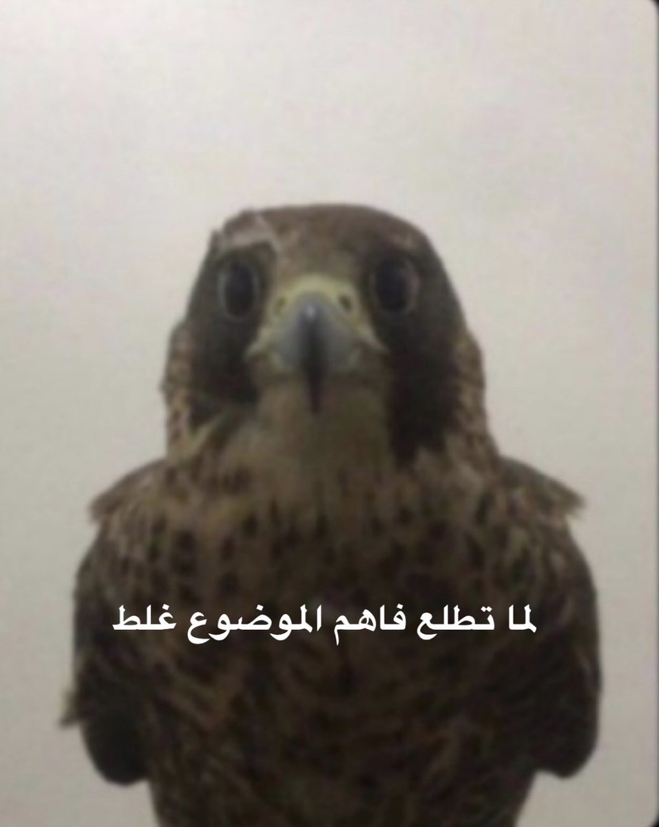 Silentash11's tweet photo. @Rzdskp اما احراج ماعلينا الزبده الي انا معلقه عليها هي الي بدت وقالت يتنقبون عشان الذكور https://t.co/H50prOWs6C