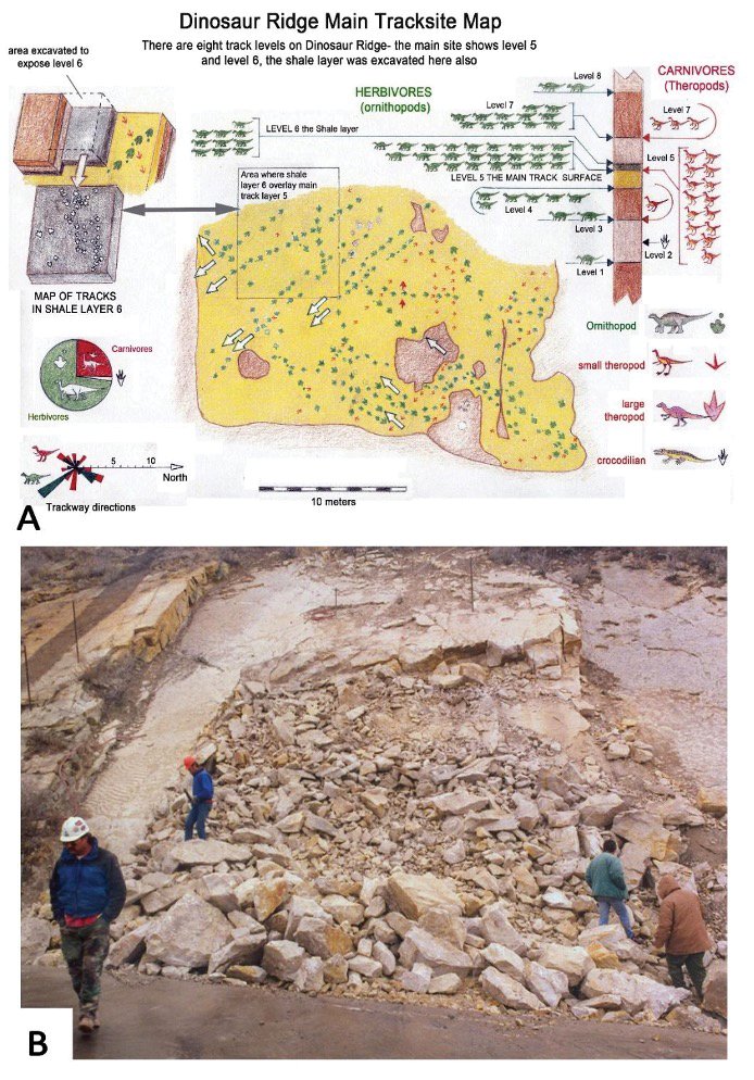 GSAPublications's tweet photo. Happy #GeodiversityDay! 🌎🦖
Heading to Denver for #GSAConnects2026? Geodiversity is right on our doorstep at Dinosaur Ridge. Image: Fig. 4 from the chapter.
Explore its dinosaur tracks, geology & geoheritage in this GSA Field Guide chapter:
https://t.co/kbttxfFxrE
#Geoheritage #Geology