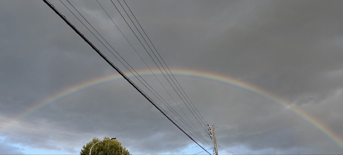 caramel_Candy_c's tweet photo. 天気雨でしたわあああ！！！
虹でてた🌈 https://t.co/l6dvWZurH2