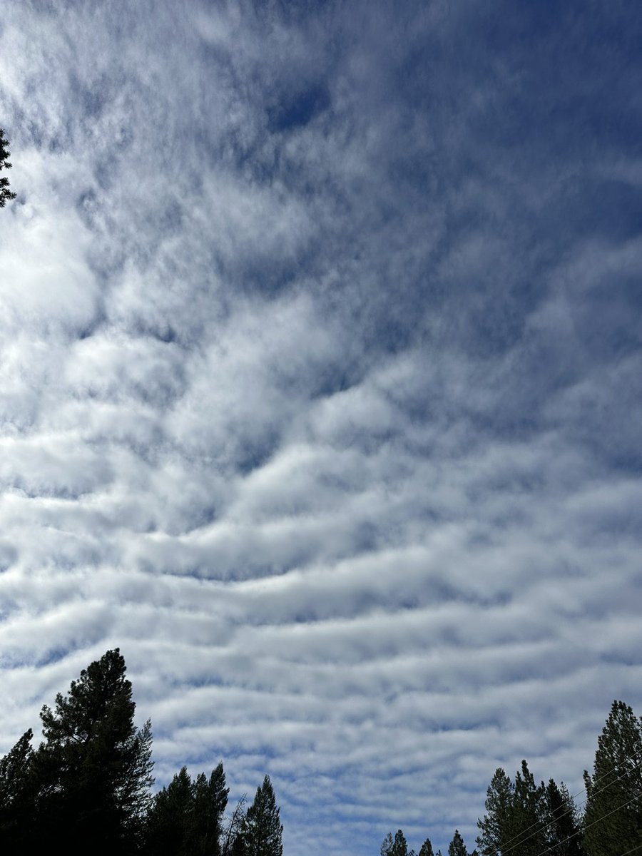 VoteTisha's tweet photo. Happening in Northern Idaho this week…. #GeoEngineering #5G #Idaho https://t.co/s22ycEdEFs