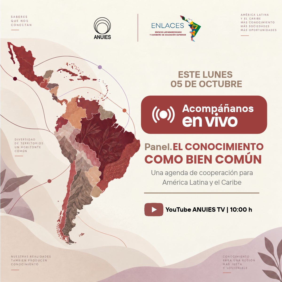 ANUIES's tweet photo. ¿Cómo construir una agenda de cooperación que ponga el conocimiento al servicio del bien común?

Acompáñanos el 5 de octubre en el panel “El conocimiento como bien común: una agenda de cooperación para América Latina y el Caribe”

🕙10:00 hrs
📺Sigue la transmisión: https://t.co/jWt2lBZaMZ 
💻Conéctate por Zoom: https://t.co/FqrlmfzDFB