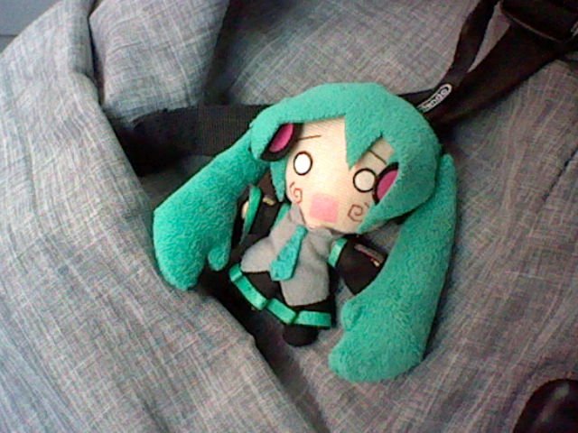 dysphoria_chan's tweet photo. Si encontraste este peluche de Miku en el centro de Puebla, mándame mensaje. Es algo especial para mí. https://t.co/AW7ao1pz4t