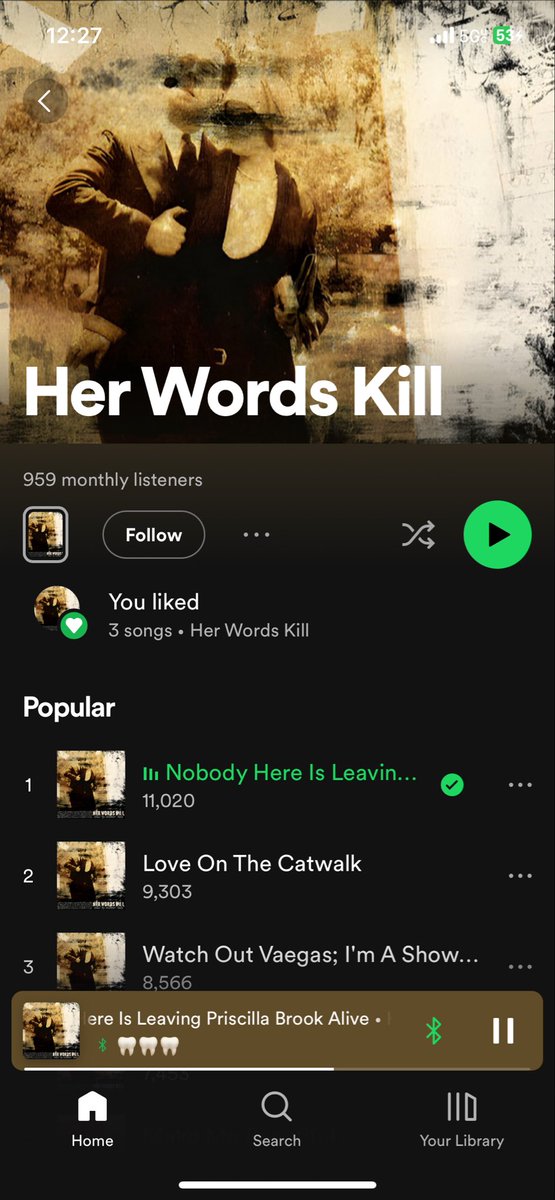 outcasthermit's tweet photo. all because one of their songs from 20 years ago blew up on tiktok https://t.co/jyfGqwPFt2