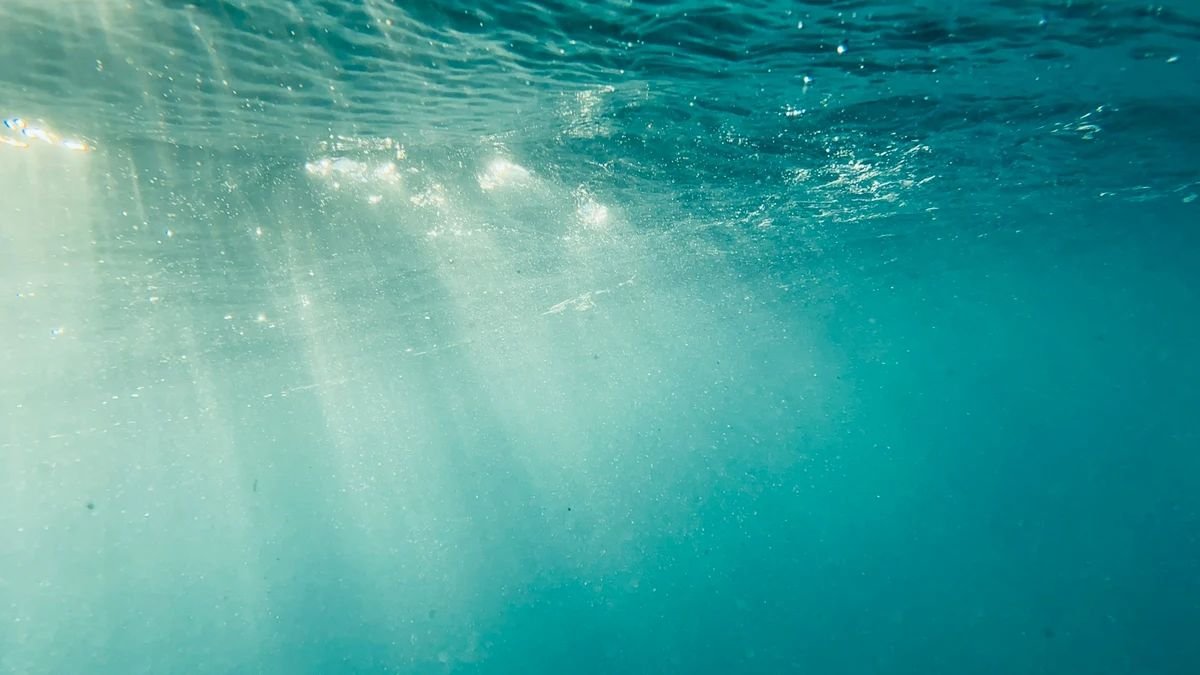 ecohubmapcom's tweet photo. ☀️🌊 #Scientists tested perovskite solar panels 10 metres underwater, with research suggesting they could operate for up to 5.5 years — potentially powering ocean sensors, cameras and other #marinetech: https://t.co/a8KMqALMM7
#SolarEnergy #CleanTech #RenewableEnergy #News #China https://t.co/z90Al7zQGA