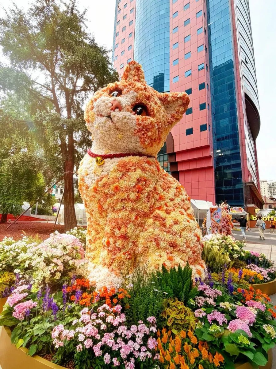 PIKAQIU_8888's tweet photo. 徐家汇那只裸眼3D橘猫 官方叫【胖金橘】
在美罗城球体屏上刷过屏
现
在它走出了屏幕
美罗湾门口两只花艺橘猫
绣球花做的 眼睛手绘 脖子挂着红绳铃铛 正成为新一轮的热门打卡景点，太漂亮了

https://t.co/vTUcMfeaU2 https://t.co/5ic4OxAUzW