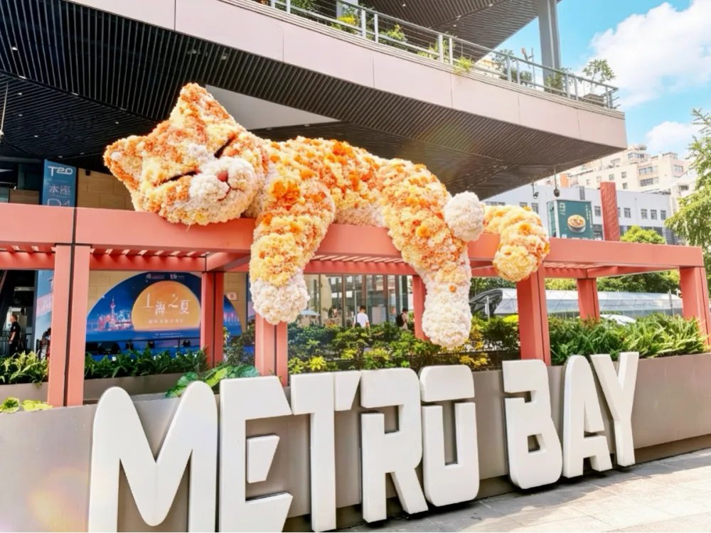 PIKAQIU_8888's tweet photo. 徐家汇那只裸眼3D橘猫 官方叫【胖金橘】
在美罗城球体屏上刷过屏
现
在它走出了屏幕
美罗湾门口两只花艺橘猫
绣球花做的 眼睛手绘 脖子挂着红绳铃铛 正成为新一轮的热门打卡景点，太漂亮了

https://t.co/vTUcMfeaU2 https://t.co/5ic4OxAUzW