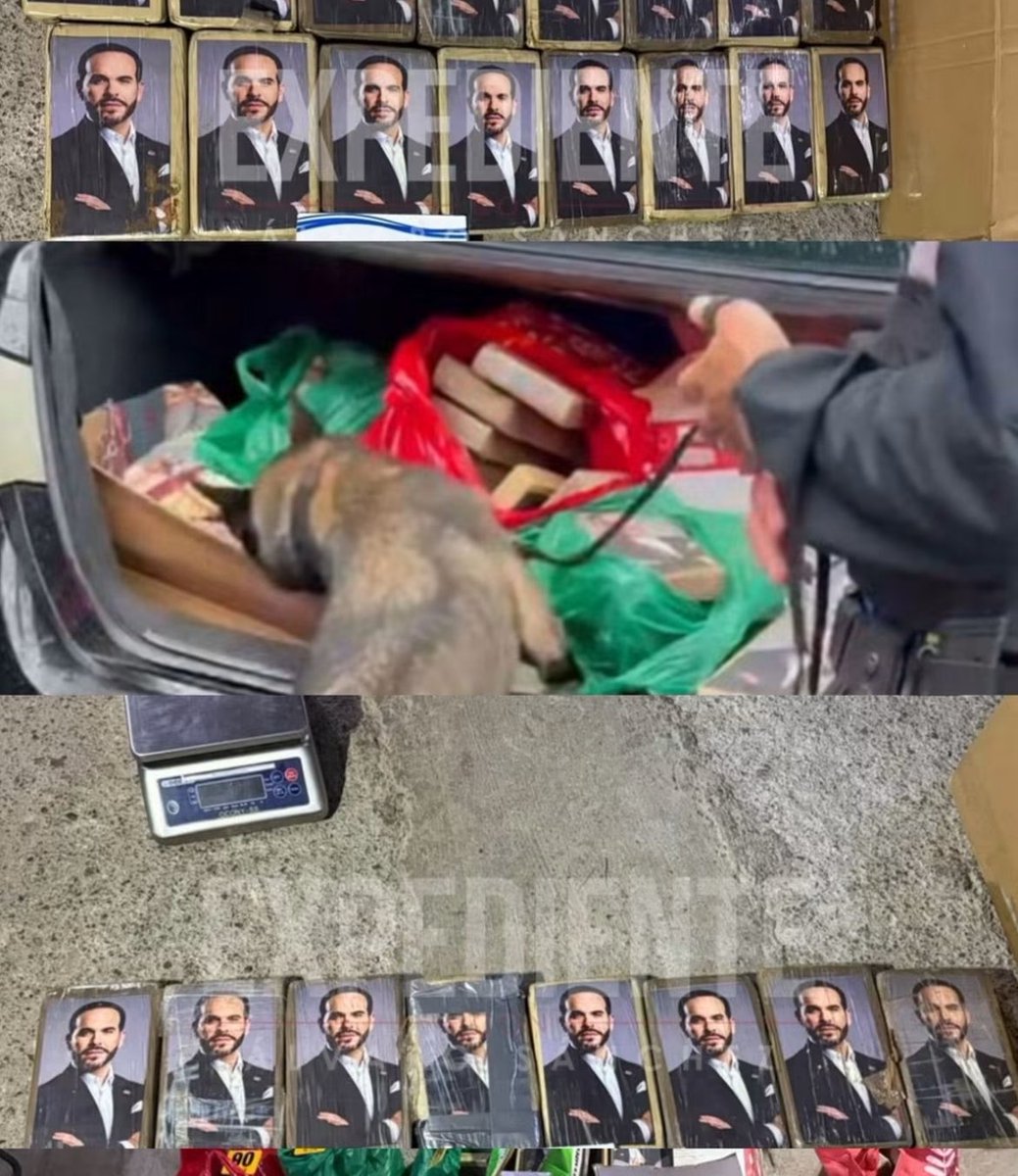 CandelaPura666's tweet photo. Esto no lo cuentan los medios de comunicación vendidos,ni Paracol y mucho menos RCN. El periodista Álvaro Sánchez reporta desde Costa Rica que la policía de Santo Domingo incautó 242 kilos de droga con foto del presidente de Colombia.
Negocio familiar? https://t.co/Tt5uAFkXv1