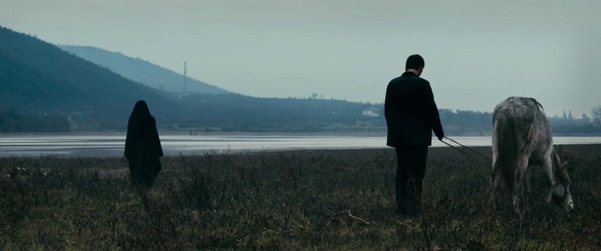 viiamr's tweet photo. In Between Dying (2020) dir. Hilal Baydarov https://t.co/px6lvY3R2W