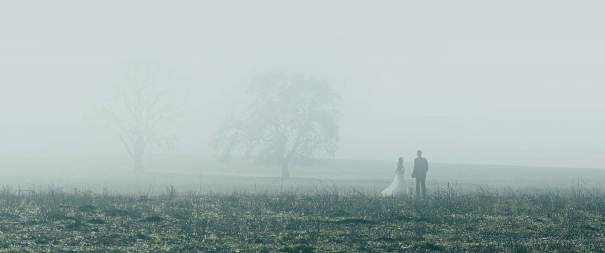 viiamr's tweet photo. In Between Dying (2020) dir. Hilal Baydarov https://t.co/px6lvY3R2W