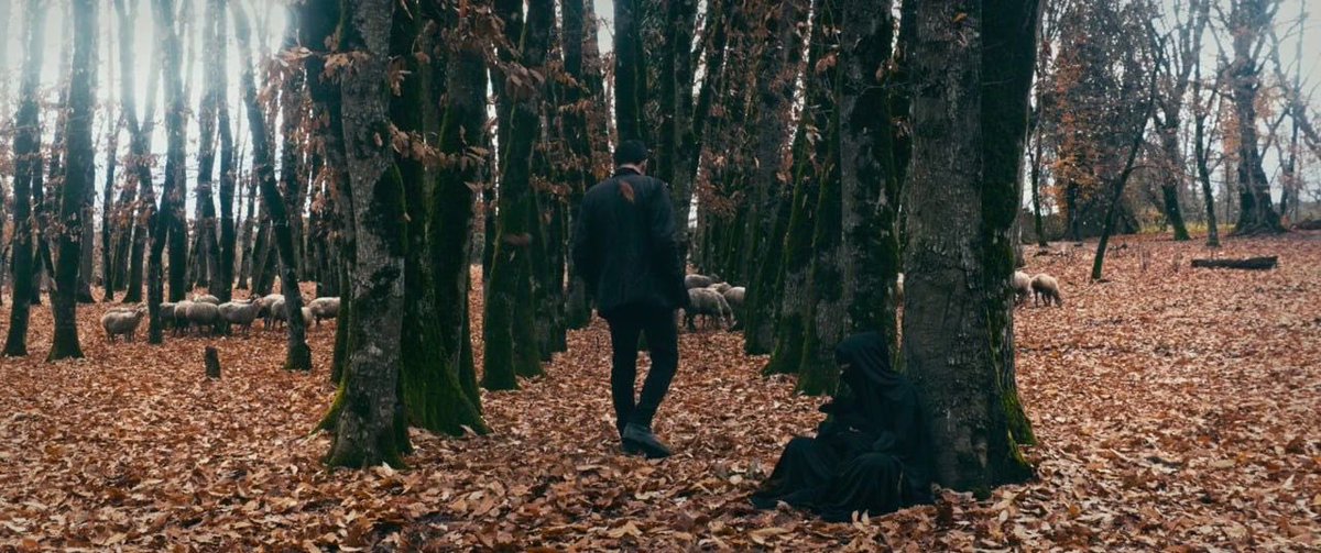viiamr's tweet photo. In Between Dying (2020) dir. Hilal Baydarov https://t.co/px6lvY3R2W