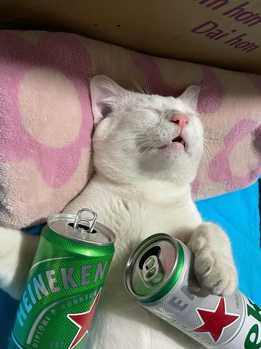 cats_auras's tweet photo. Stumbling around all tipsy, so I hand him a beer can and he turns into a total middle-aged dude. https://t.co/tHVJDPYAxt