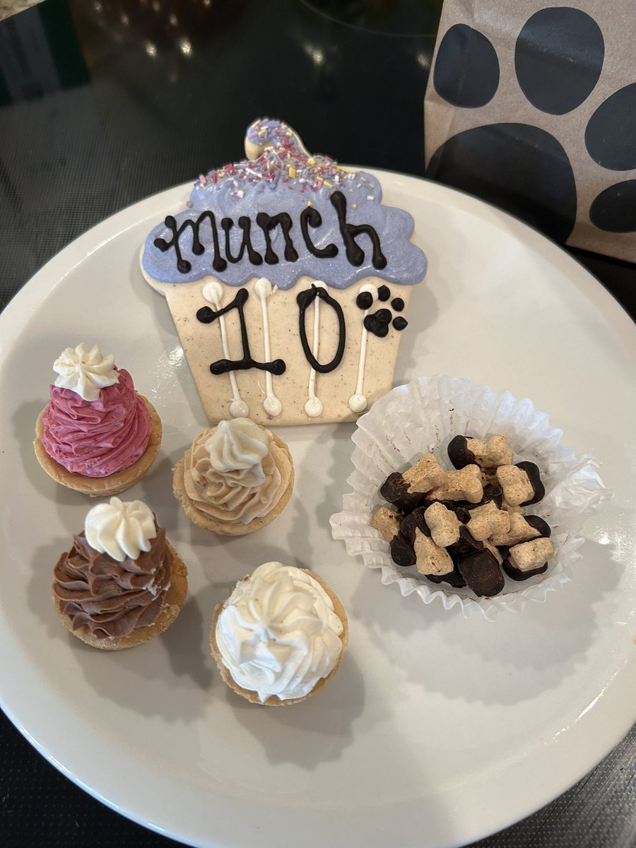 BaileyBulldog's tweet photo. My sweet angel and gentle Munch turned 10 years old.  Words cannot describe how wonderful he is.  ❤️❤️❤️

#bestdogever #englishbulldog https://t.co/ZBvAqJzwI6