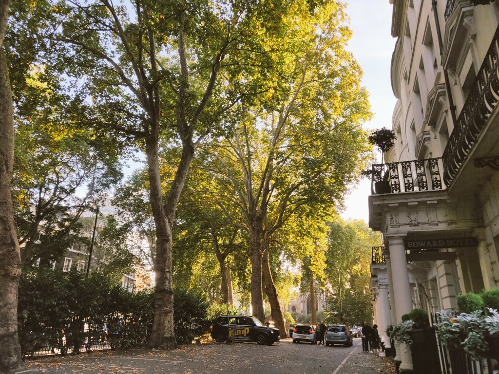 AesonLi's tweet photo. Impression of Kensingdon is constant:
White Victorian architect and Autum leaves https://t.co/0HzBCma15V