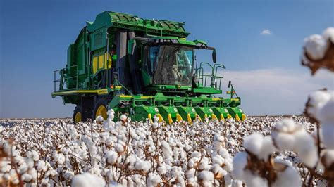 RedWhiteBlueJay's tweet photo. @diadave61 Idiot, no one picks cotton by hand in America anymore. She knows this. She's a lying manipulating POS. The African American community is right to be suspicious of loudmouth democrats and right to vote Republican. https://t.co/2TMH5vdLYP