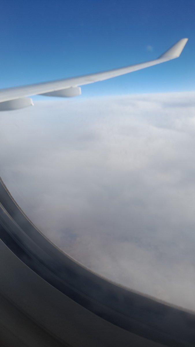 Reda99darwish's tweet photo. One dream. One goal.
And the beginning of a new chapter. ✈️
April 20, 2026. https://t.co/At4DOf0fQb