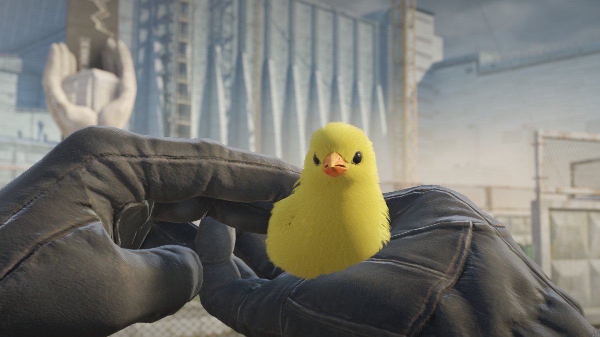 owenminer's tweet photo. Valve Added pet chickens as a secondary "Trust Factor" metric. If your willing to give up weekly drop, worth real money, to take care of and feed a virtual chicken (that's sole purpose is to be cute), it likely means you are a good person. 

Bot farms and cheaters will always choose money over happiness. If you take care of your chicken you will be placed in lobbies with other responsible pet owners. If you kill your pet chicken you will be doomed to low trust factor hell with spinnbotters as retribution. 

You have been warned.