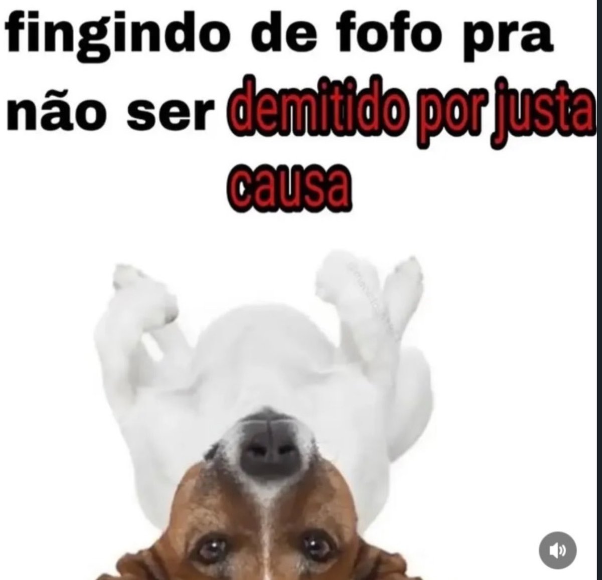 shitpostverdade's tweet photo. https://t.co/nIDmXFN6cx