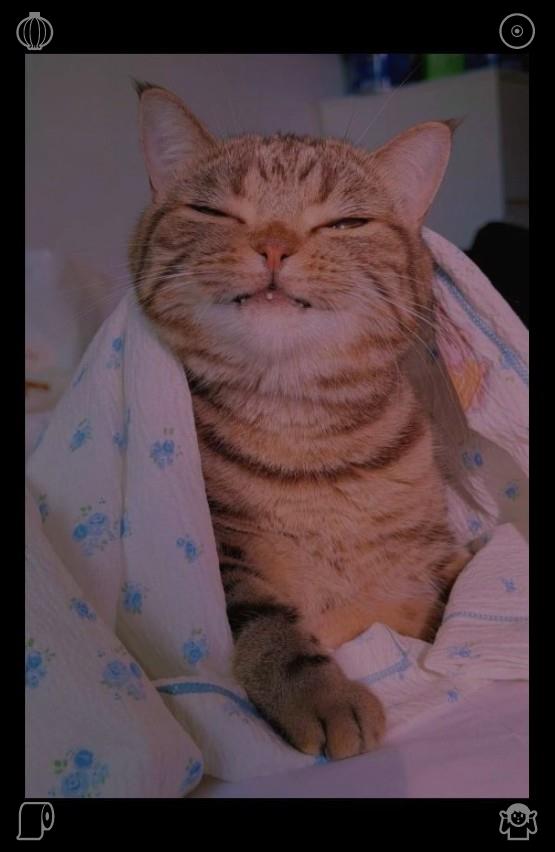 jaineeeb's tweet photo. 🎩Ship Exhibition The ships, the model525379Comfortable blanket on the bed https://t.co/rYOpAJGpwB