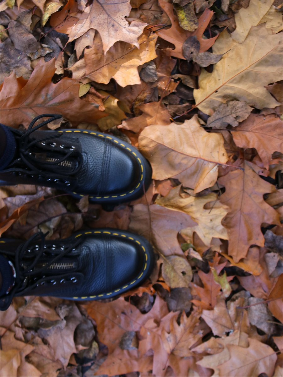 MaryseHeart's tweet photo. Today is all about autumn leaves, hot soup, and cozy vibes. ☕ https://t.co/JXpCM10kFP