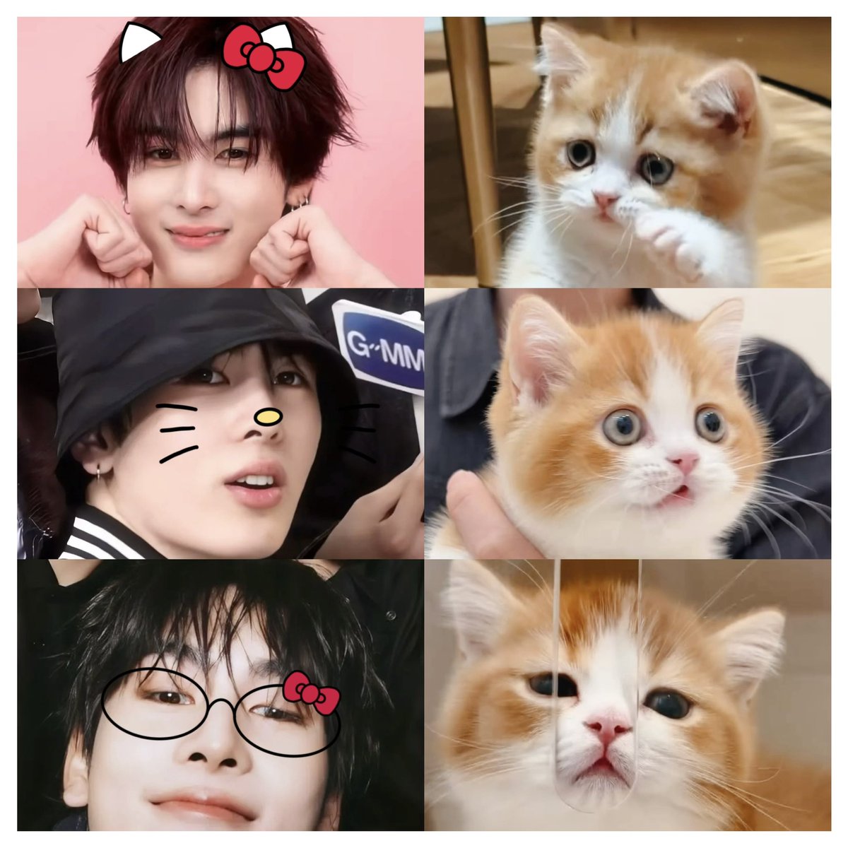 fortuitouslys's tweet photo. santapp 🐱                          felixpp 🐱 https://t.co/qJhhLze8a9