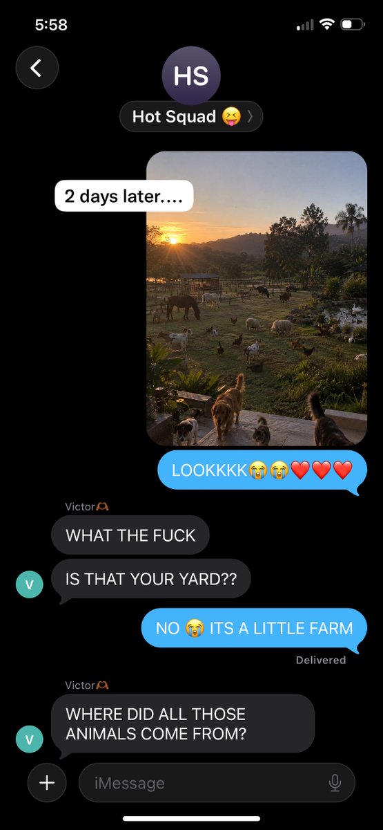 lvrmarz's tweet photo. “i want like 15 animals” - masali
“who needs 15 animals?” - victor
“masali does!” - hannah dodd

come get y’all rpf food https://t.co/AObSfsi2xb