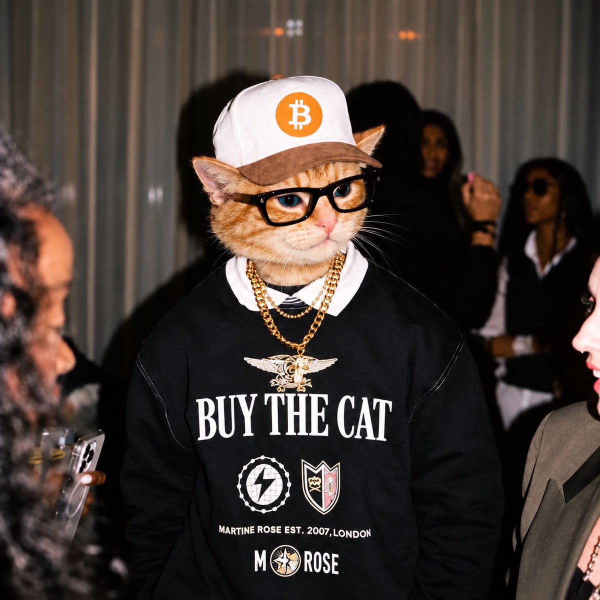 squishertonn's tweet photo. Happy Friday gangstas 

Buy the cat https://t.co/KwVRYRWvEl