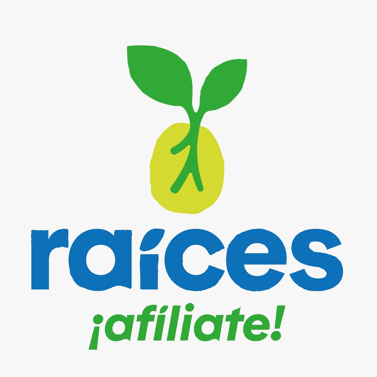 VicenteCarrera_'s tweet photo. Contra todo pronóstico @raicesguate es partido político. Esta vez a por todo y nada va a impedirlo 🇬🇹🌱

_Art. 20 h) LEPP_ https://t.co/asMFNsLL0y