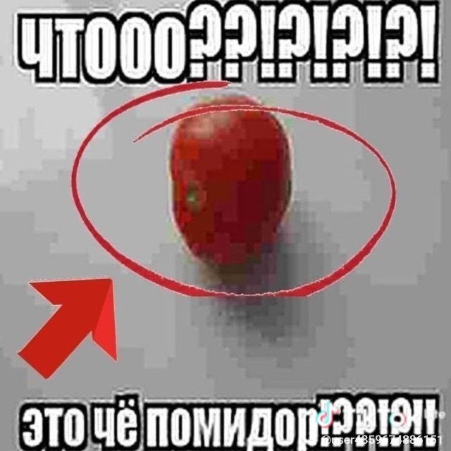 XDkc9's tweet photo. Fuck как же я ненавижу помидоры。・゜・(ノД`)・゜・。 https://t.co/10LivbdLzT