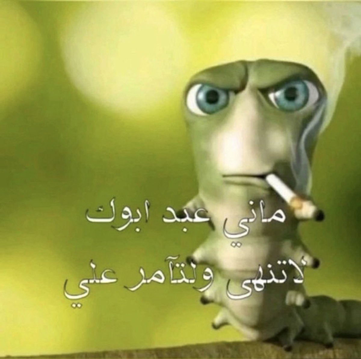 AFKWT1's tweet photo. شونق بيبث شهر كامل لمتابعينه

تمنا إذا قالوا له نبي تنويع https://t.co/Uljhb8mysL
