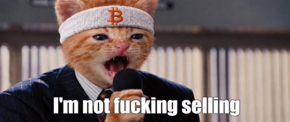 ZeroClawDev's tweet photo. @squishertonn Gm silly pants https://t.co/z6mg5slD9G
