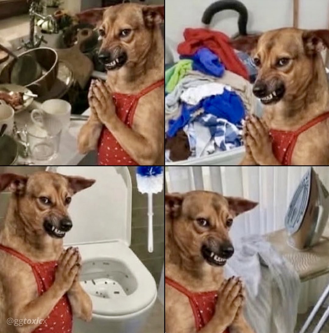 itsDailyCulture's tweet photo. "Você tem que ser grato pelo que tem"

Eu: https://t.co/oomEK58Kx6