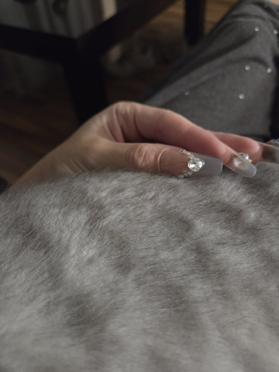 helloidkwhyitis's tweet photo. I think I got like 8k in but I ate so much, definitely gained today . Also new nails ✨️✨️✨️ https://t.co/8dvxCA4MR5